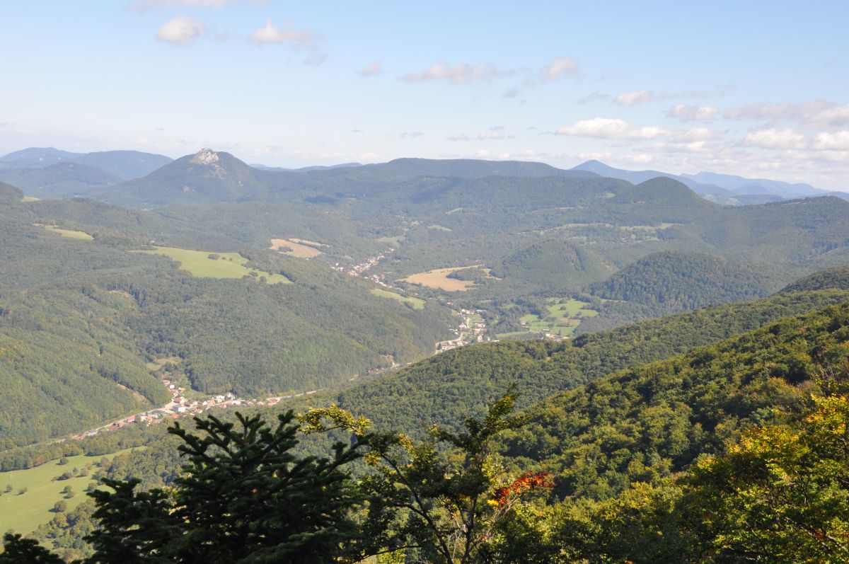 DSC_1559